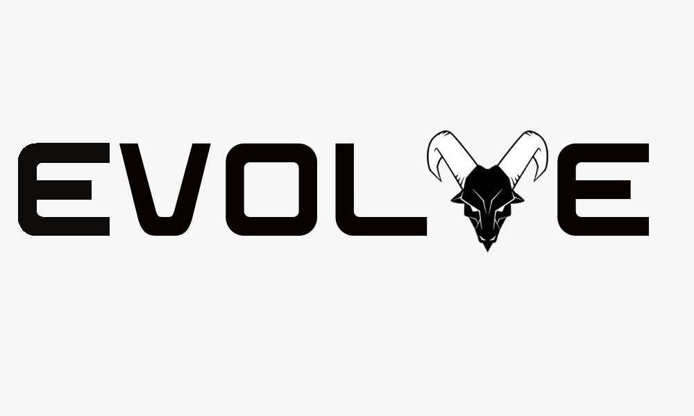 Evolve.Scl